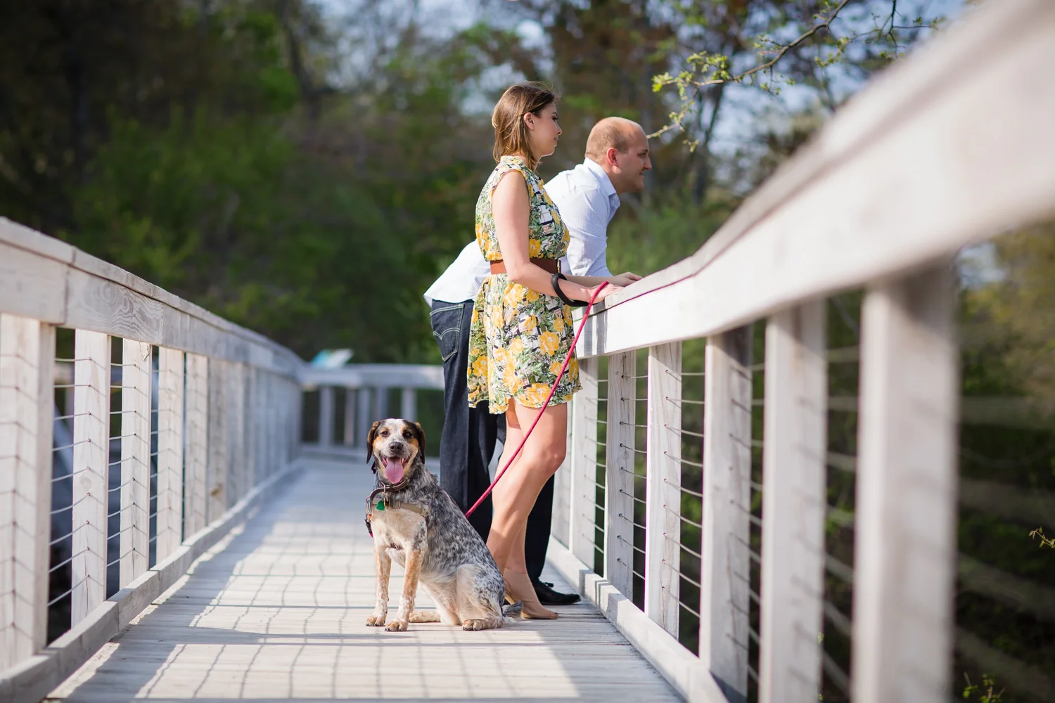 Christina + James' Engagement  |  Blue Hills and Cambridge