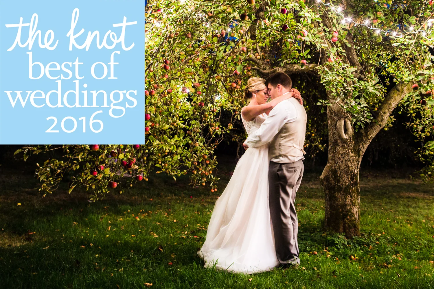 We won the Knot's Best of Weddings 2016!