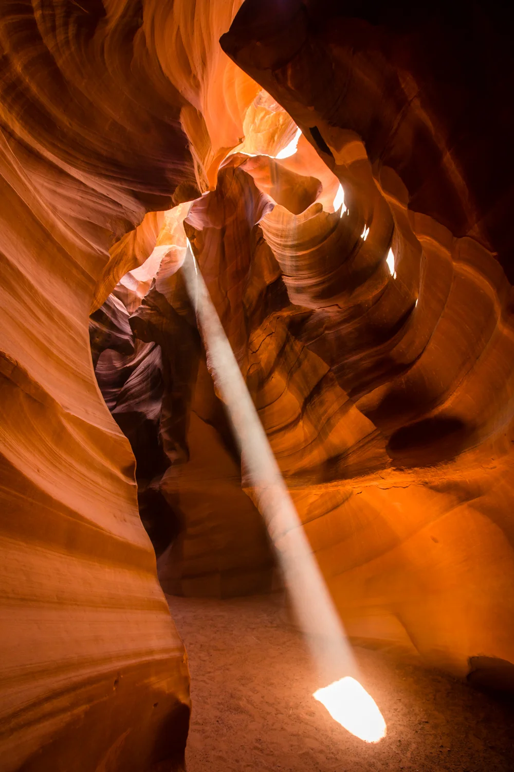 antelope-8.jpg