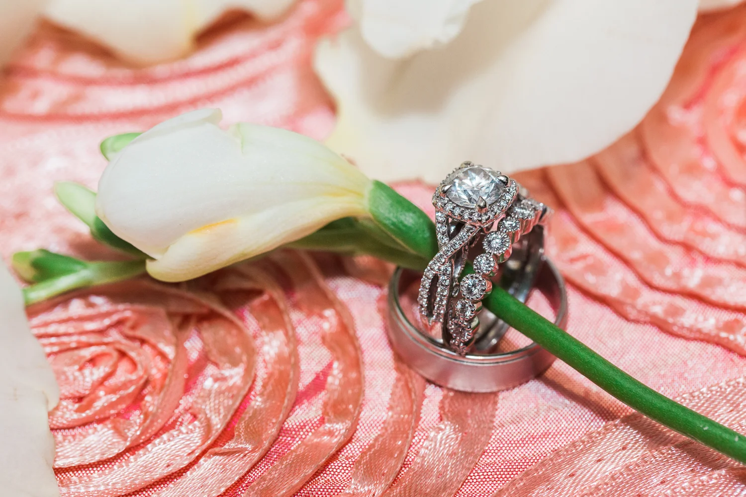 saphire-estate-sharon-wedding-photography-52