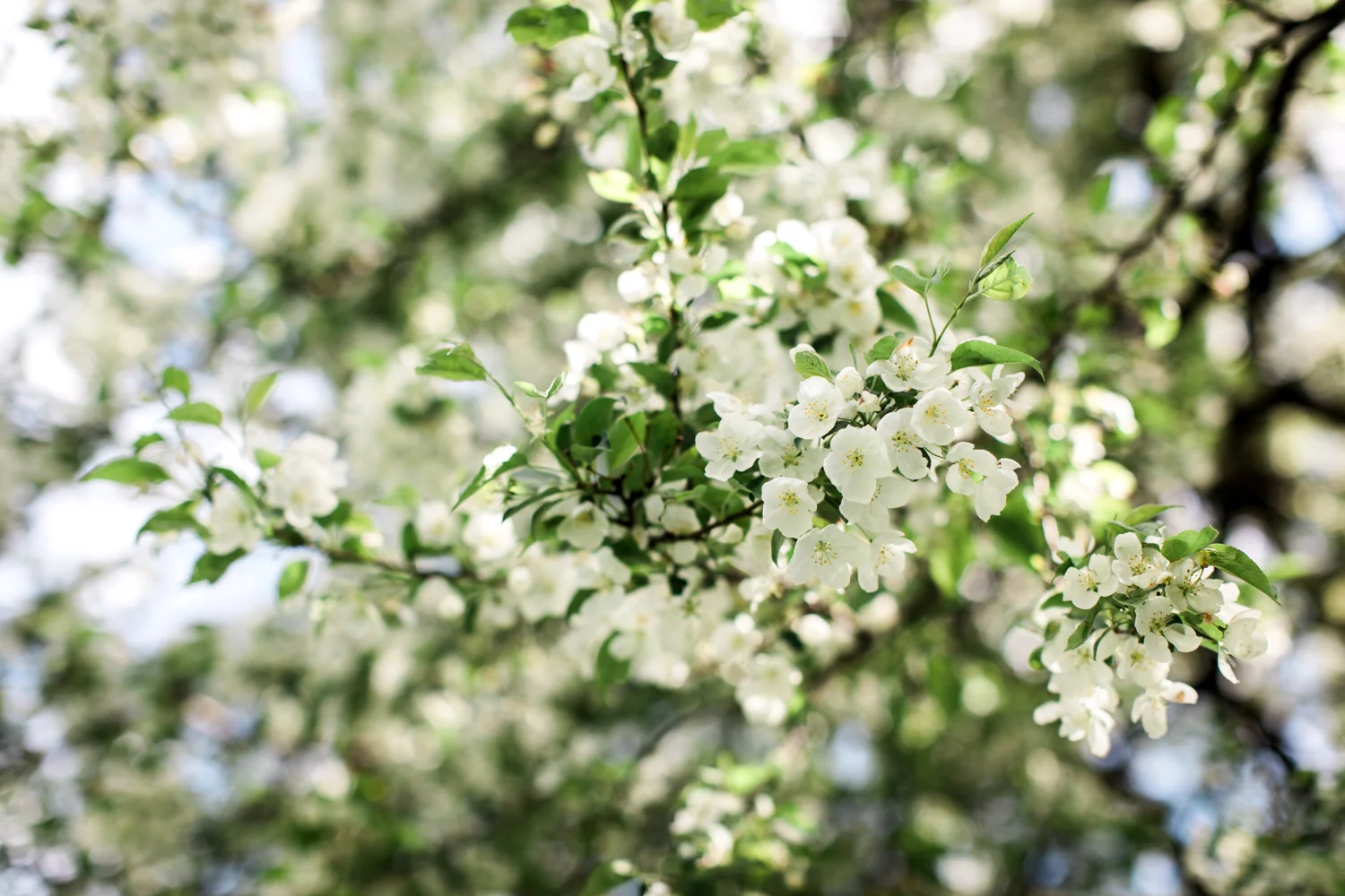 Ruben + Christina | Wedding at Red Sky Studios