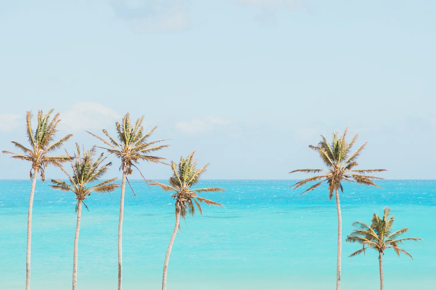 Emily + Mark | Hamilton Princess Bermuda Destination Wedding