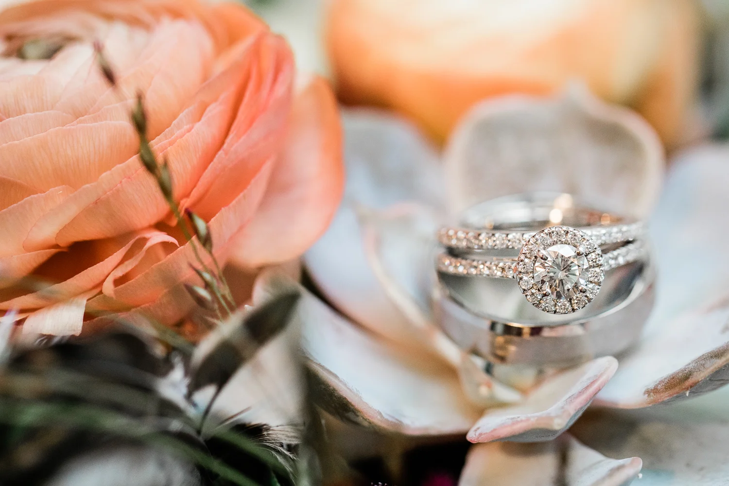 Steeple Hall Newburyport Wedding