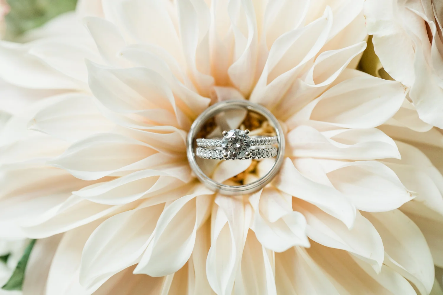 boston-wedding-photographer-102.jpg