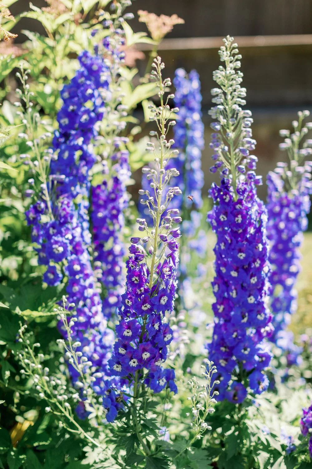 Crane Estate Engagement Photographer