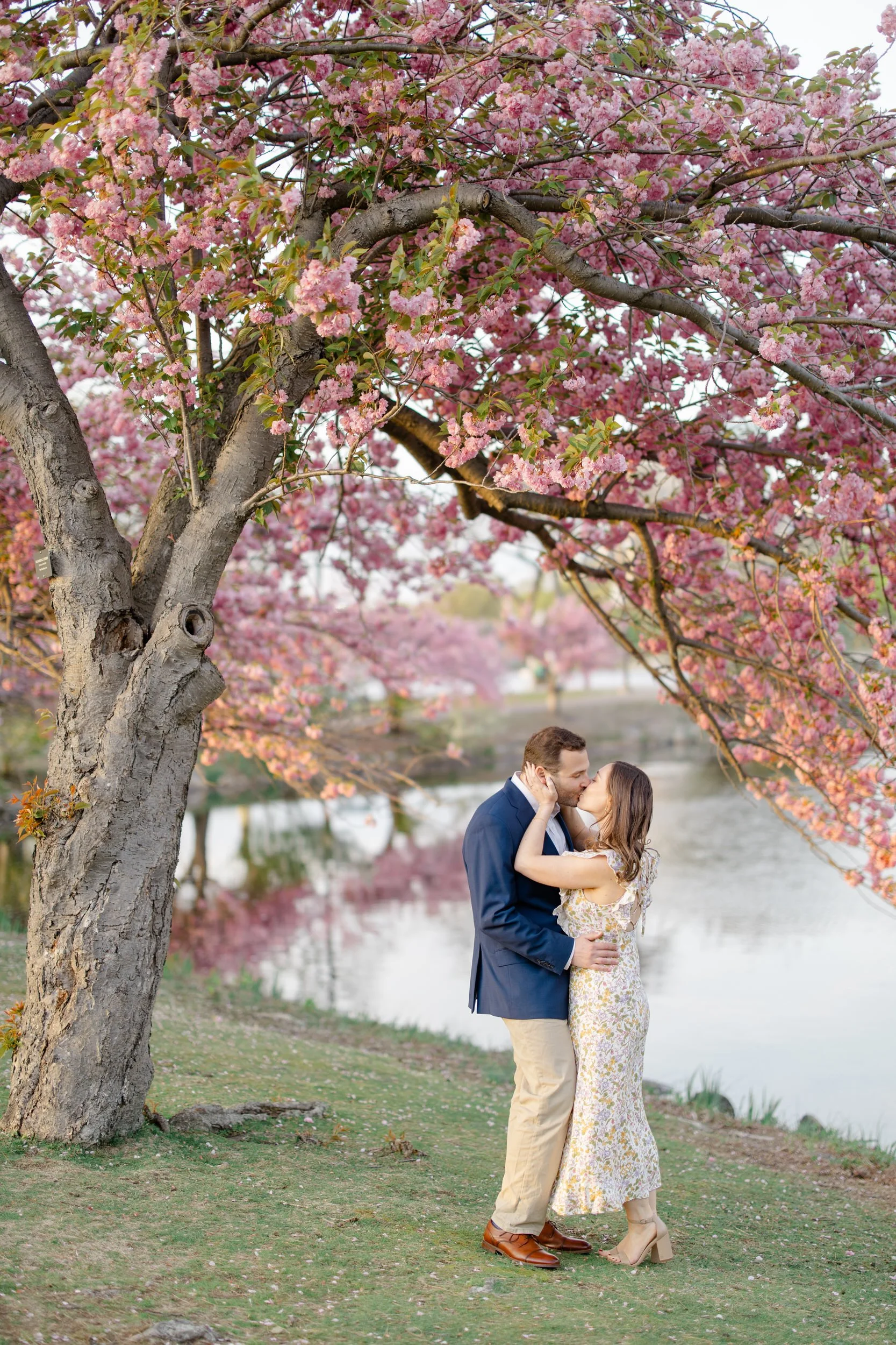 Cherry-Blossoms-Charles-River-Esplanade-Engagement.jpg