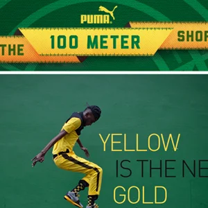 Puma100.jpg