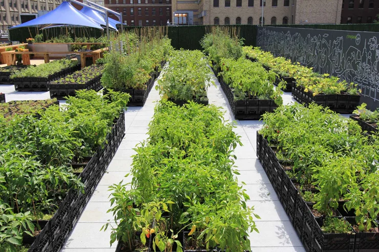 Riverpark_farm_05.jpg