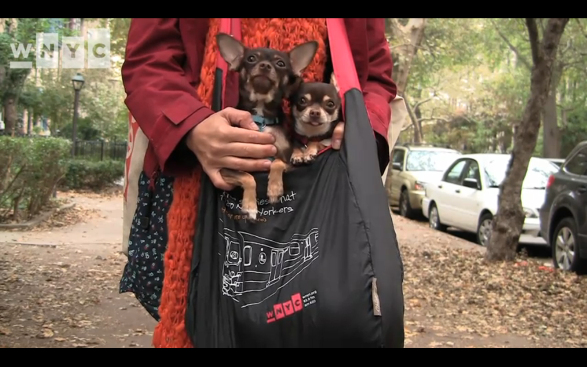 wnyc bag.png