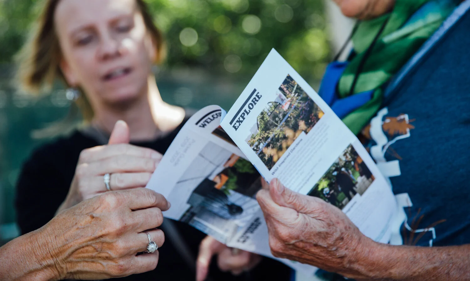 HighLineDesign_Blog_08_Julieanne Prevete.jpg