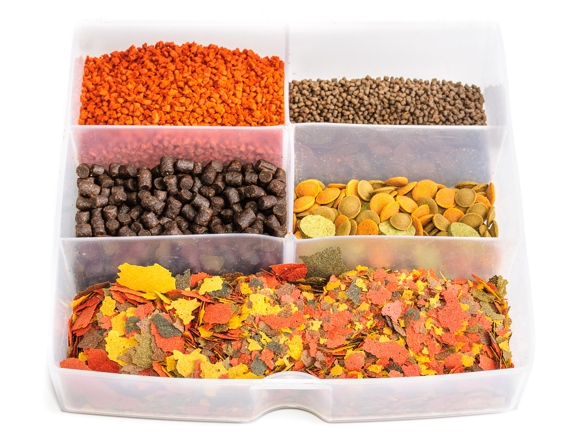 ornamental fish feed