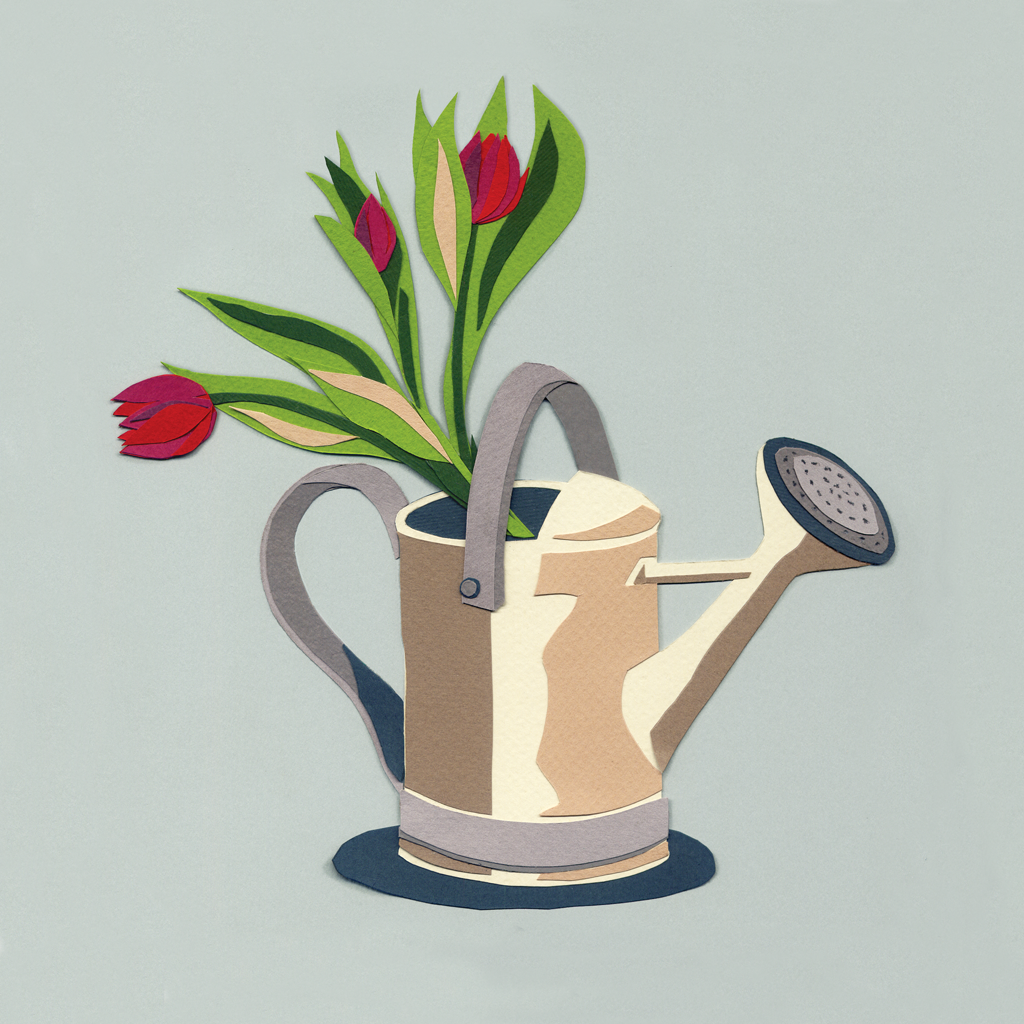 Tulips-no-border.png