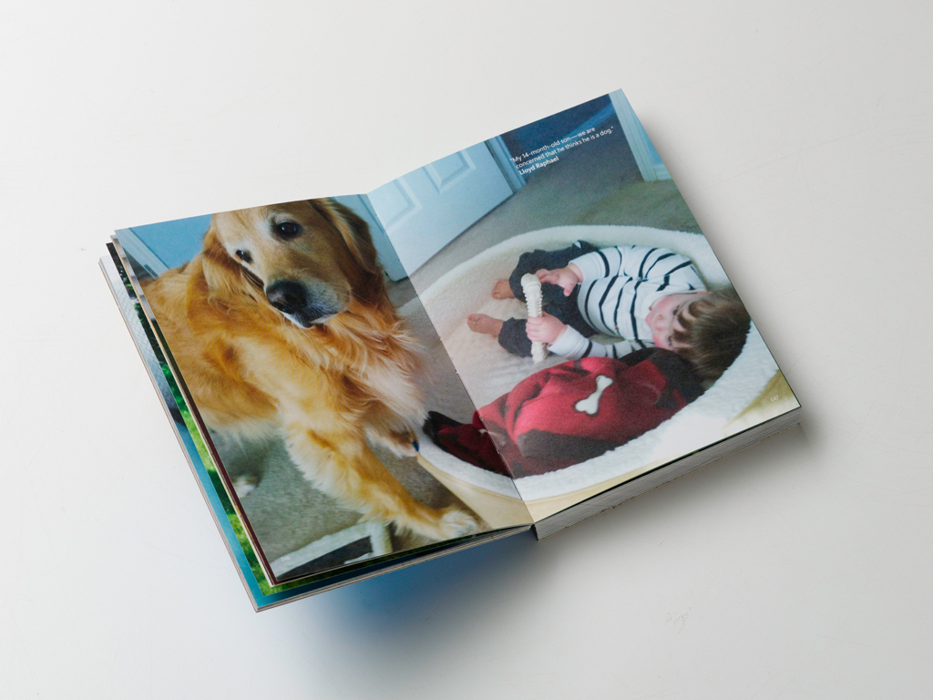 wpbrandbook_06.jpg