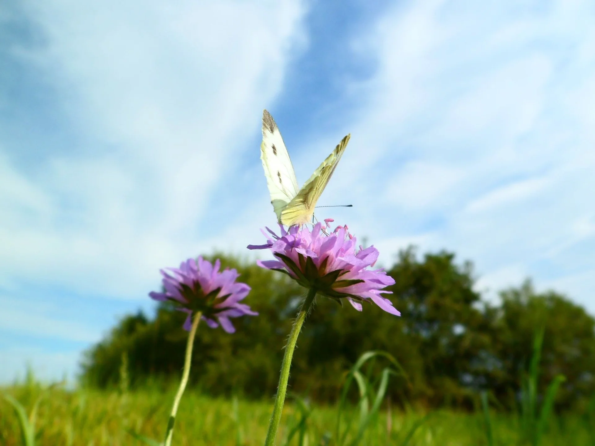 Giving yourself the space to process and heal, even years after your prior birth experience, proves to have a positive impact on your overall sense of well-being, improves your experience as a mother, and if you plan to have more children, proves enormously beneficial to you in your next pregnancy, birth & postpartum experiences. This work creates the opportunity to move forward in your life with a sense of resolution, greater strength, powerful tools, improved self-care and confidence, and a genuine sense of peace.
