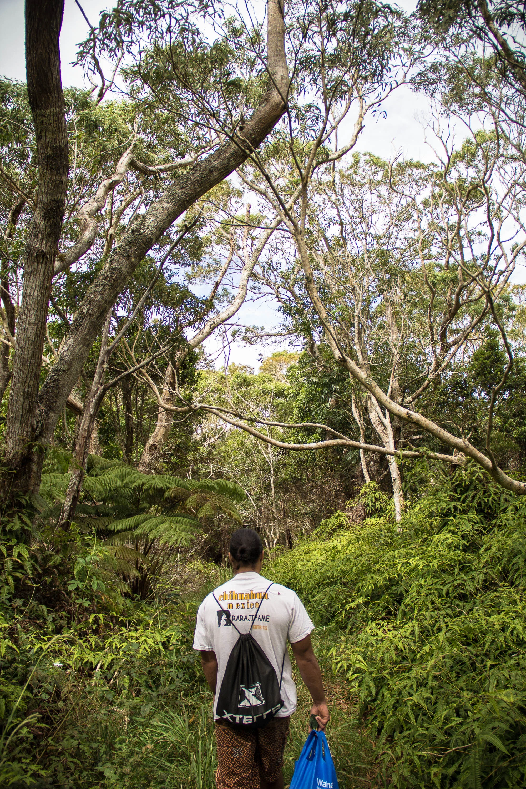 picking maile-36.jpg
