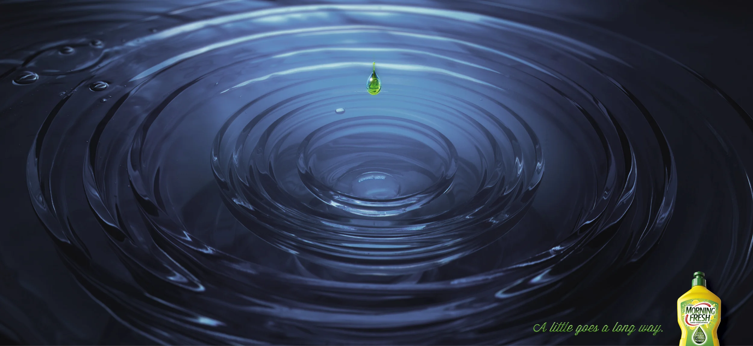 Morning Fresh strip_press.jpg