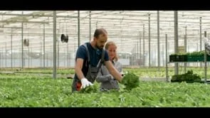 Science Appeal for The King's School, Canterbury