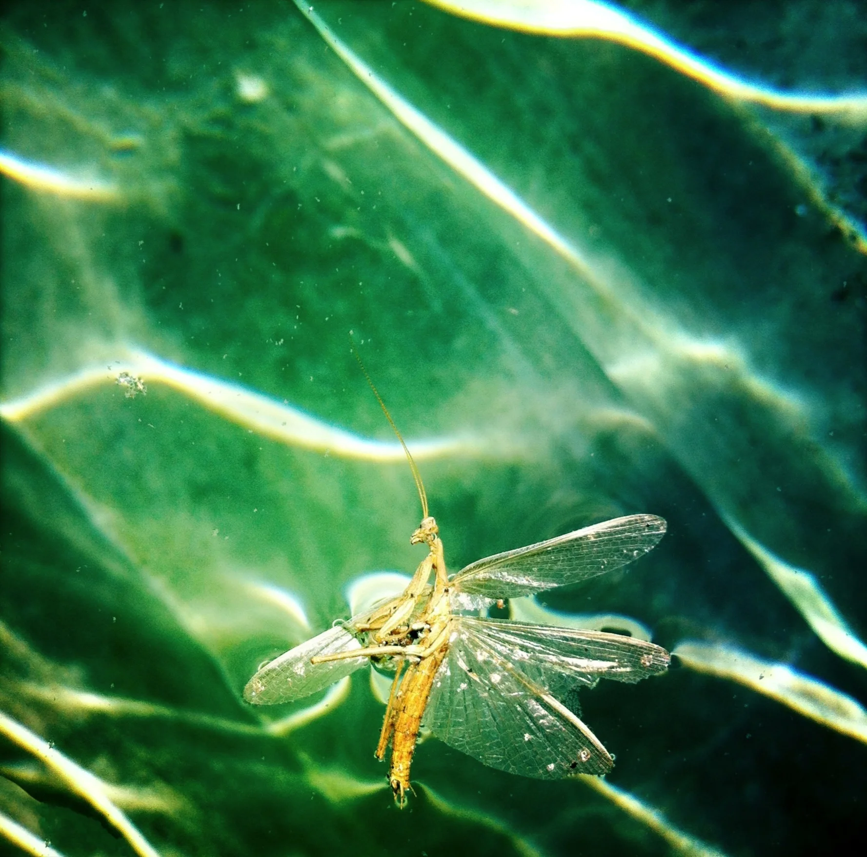 ojo retoque IMG_0636.jpeg