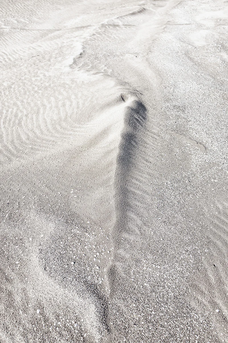 El-monstruo-sonoliento.jpg