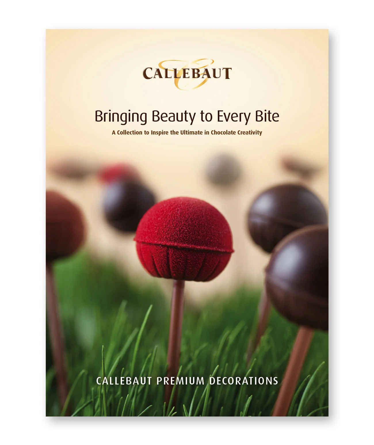 Chocolate Book Cover.jpg