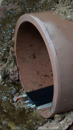 A ‘nervous’ Innovation Festival first