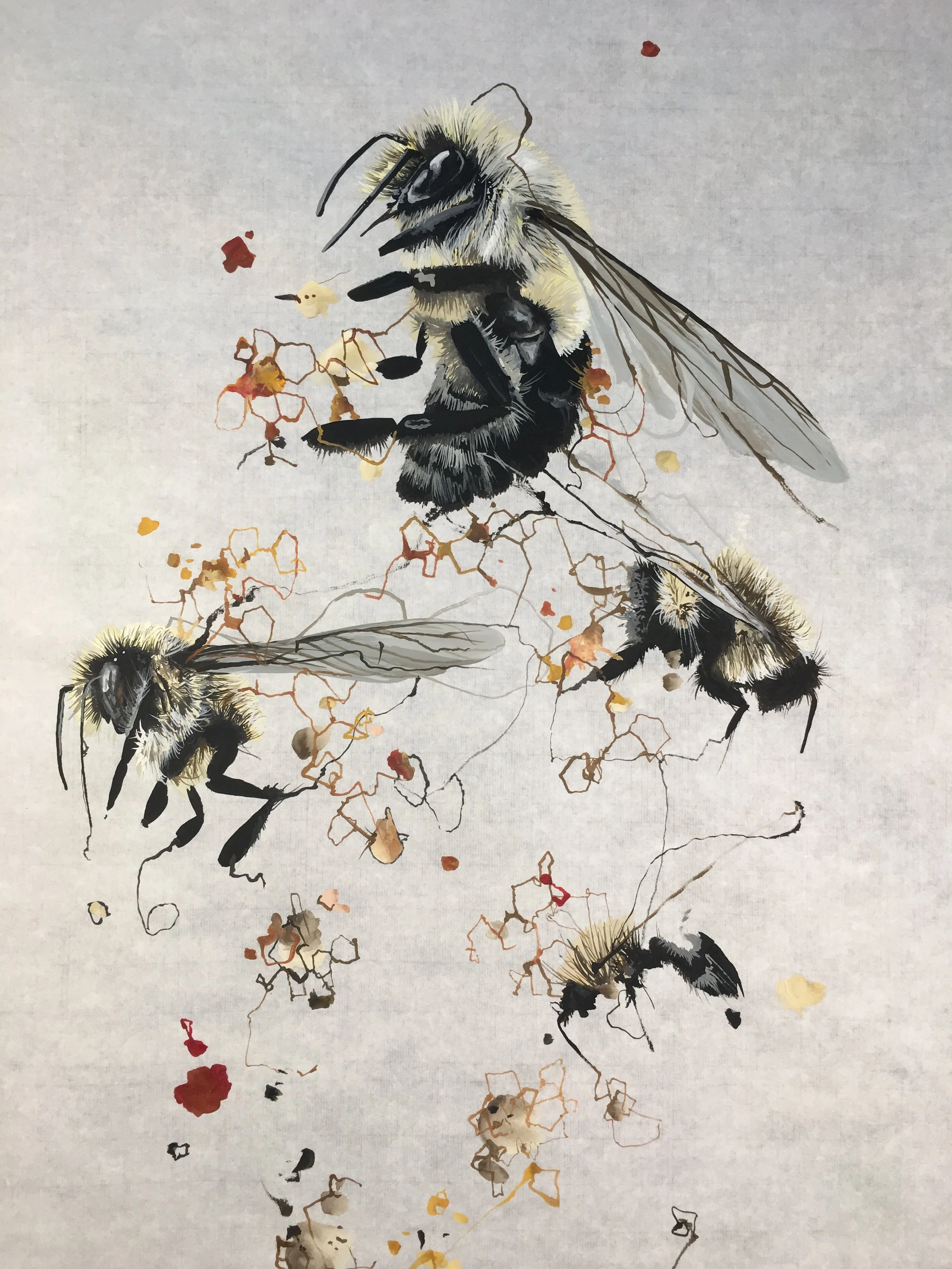 WúTí 44°27'40.9"N 73°10'13.0"W