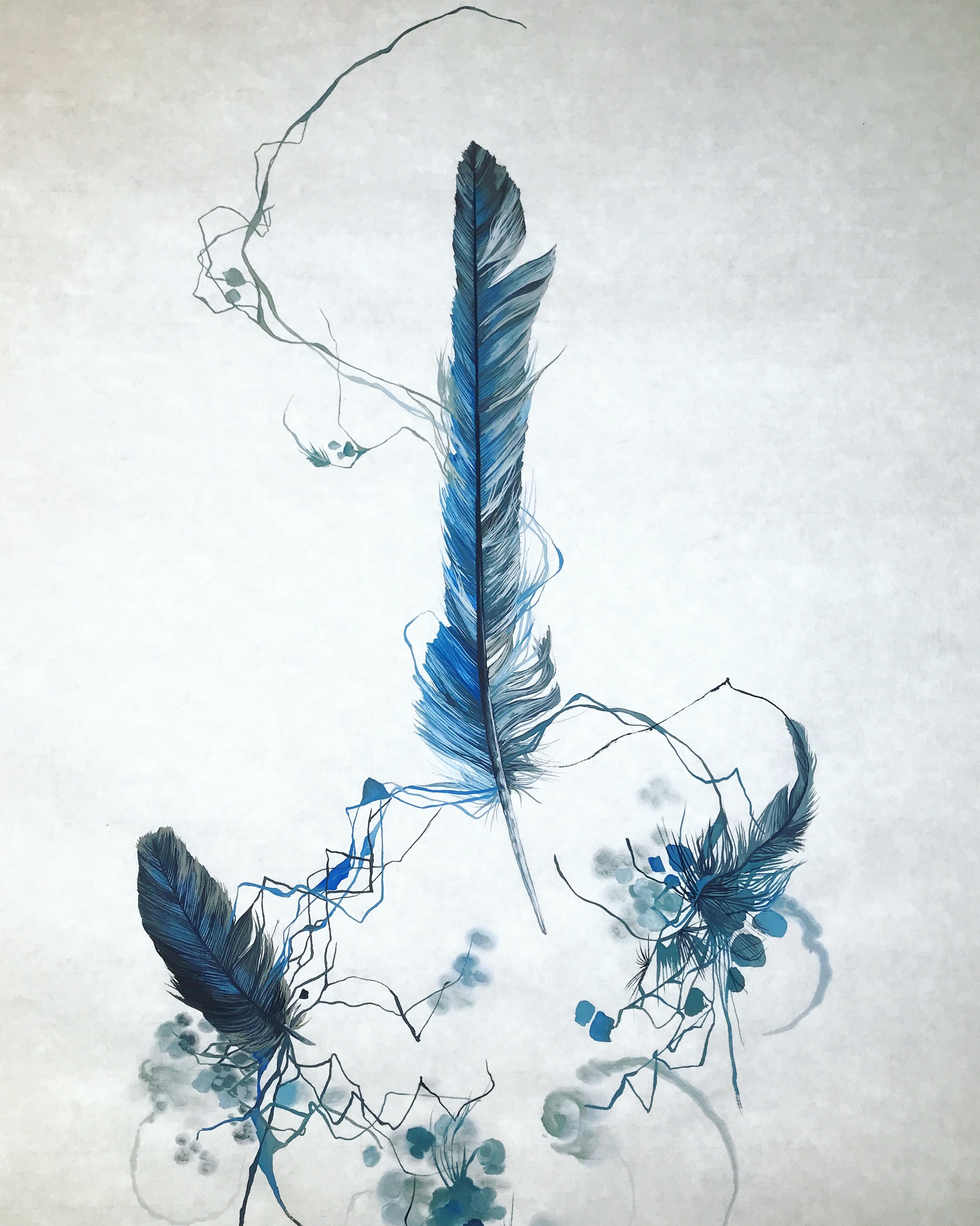 Feathers