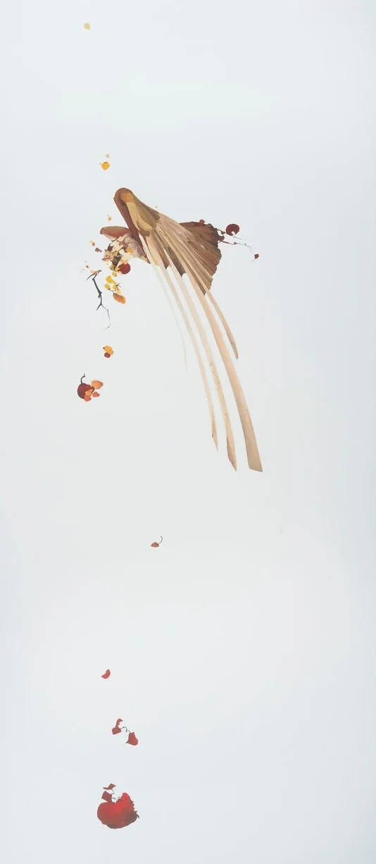 Untitled #20