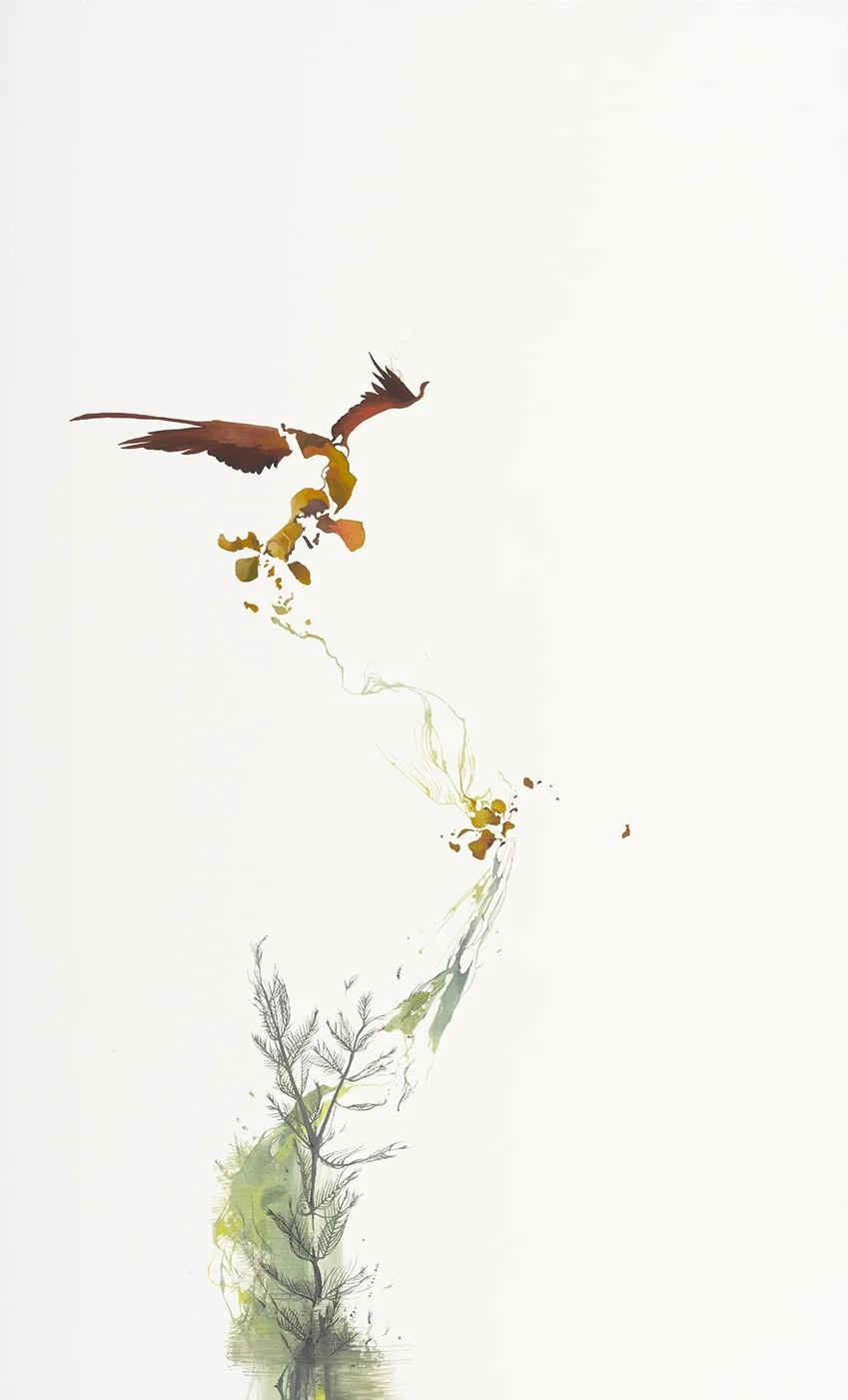 Untitled #3