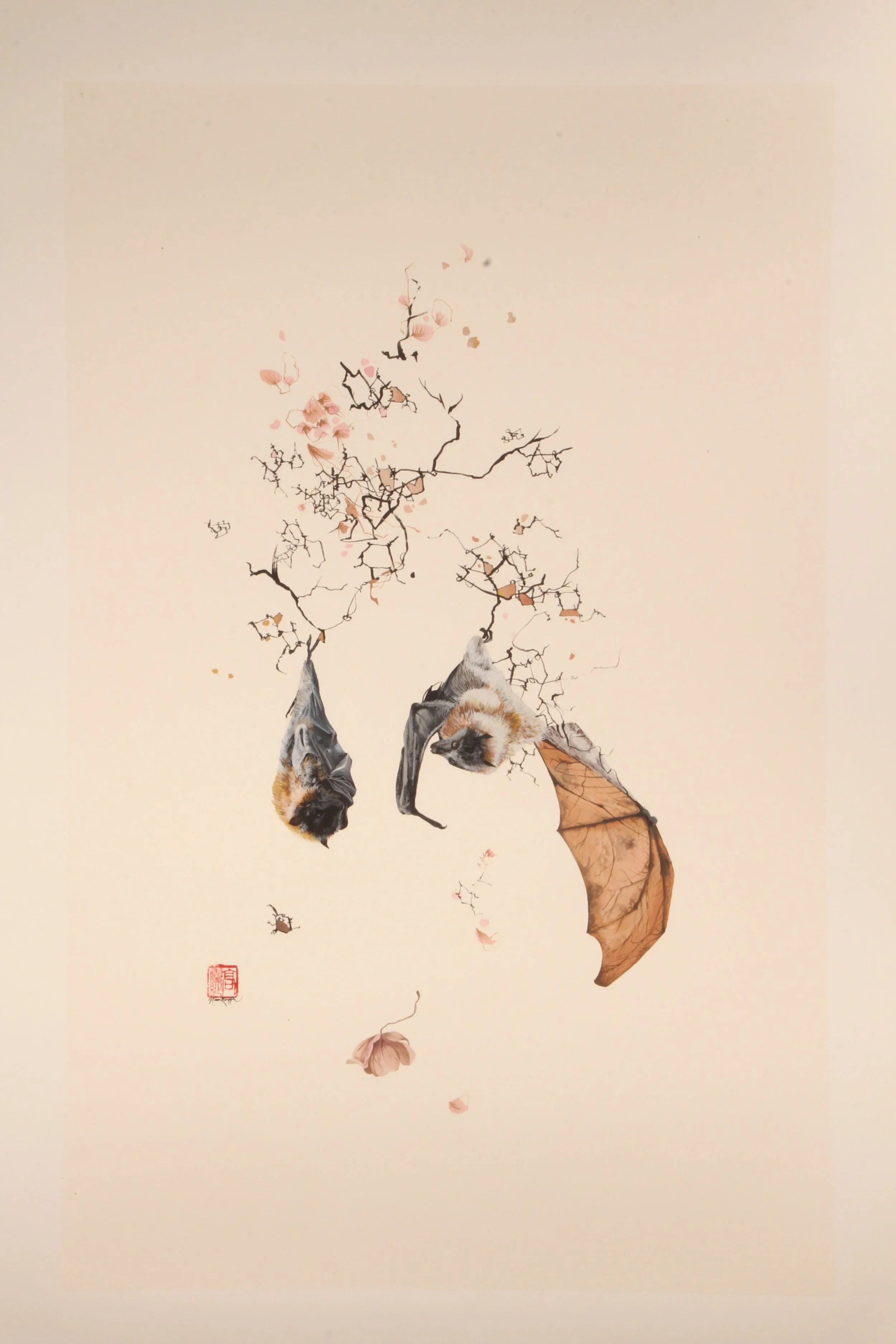 Wú Tí 32°56'14.8"S 151°41'52.5"E