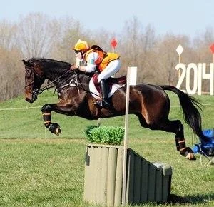 Sharon White Eventing Clinic, August 28-29, 2025
