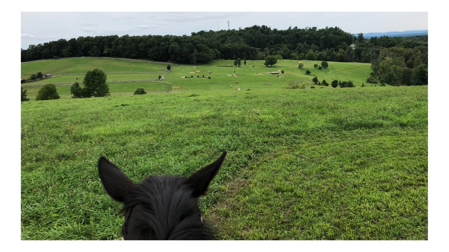 Scarlet Hill Farm