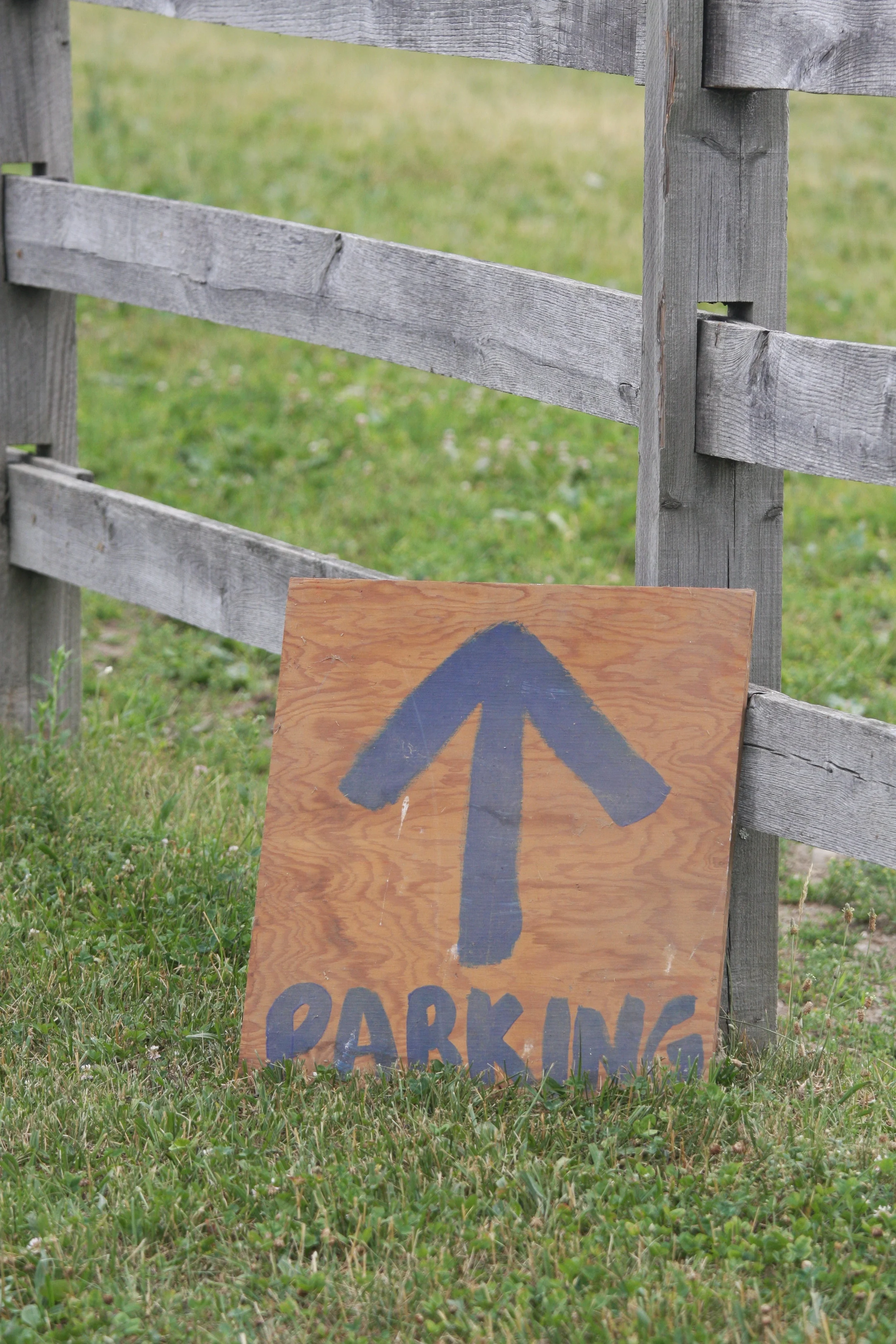  Photo Credit: Laura Strassman 