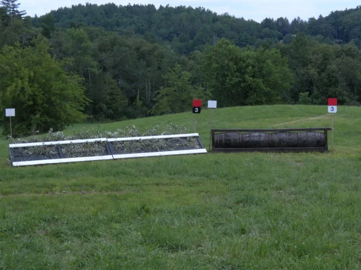 268826_220832351289633_4418036_n.jpg