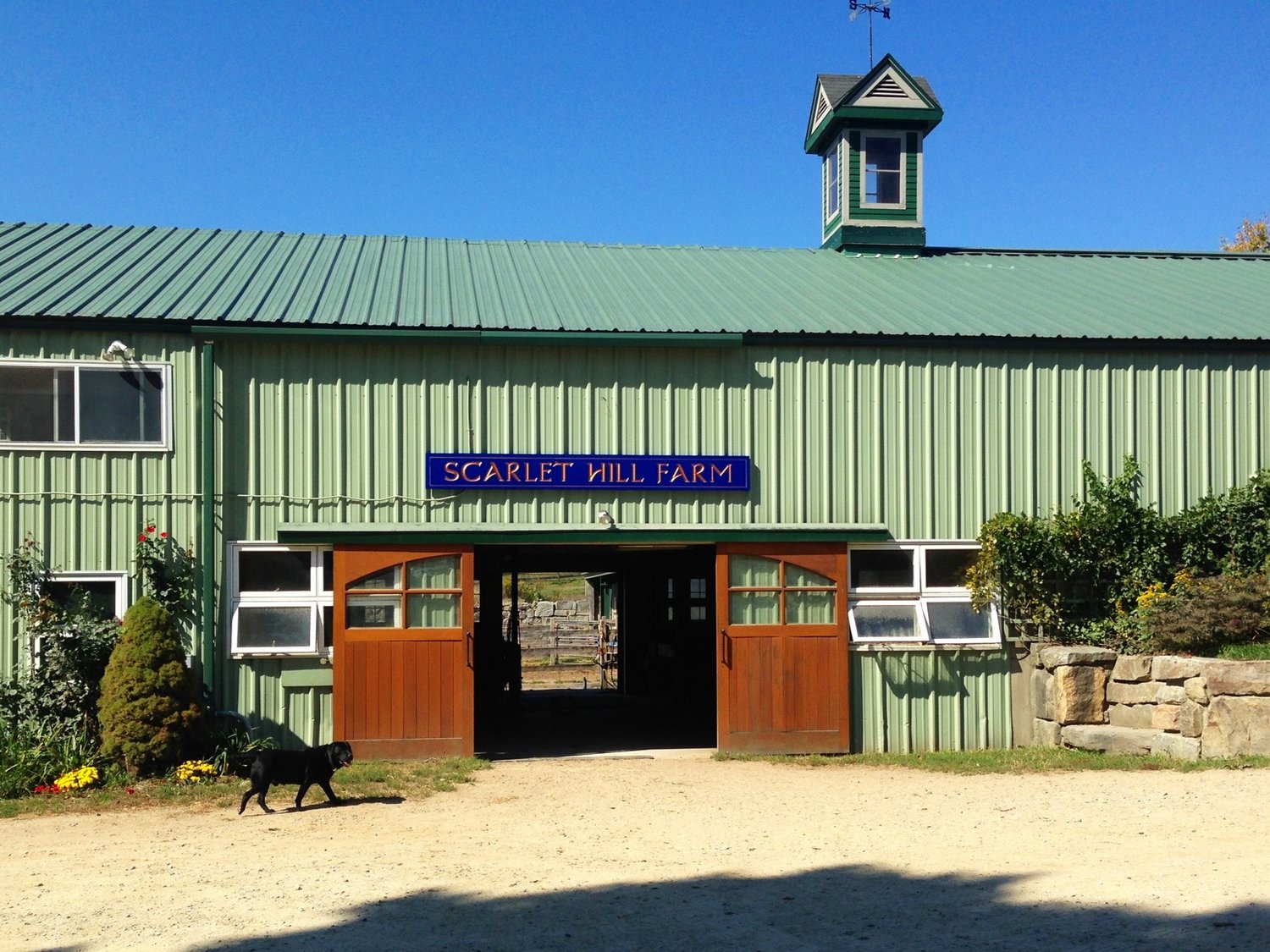 Scarlet Hill Farm