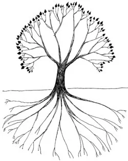 5559302-5357979-thumbnail.jpg