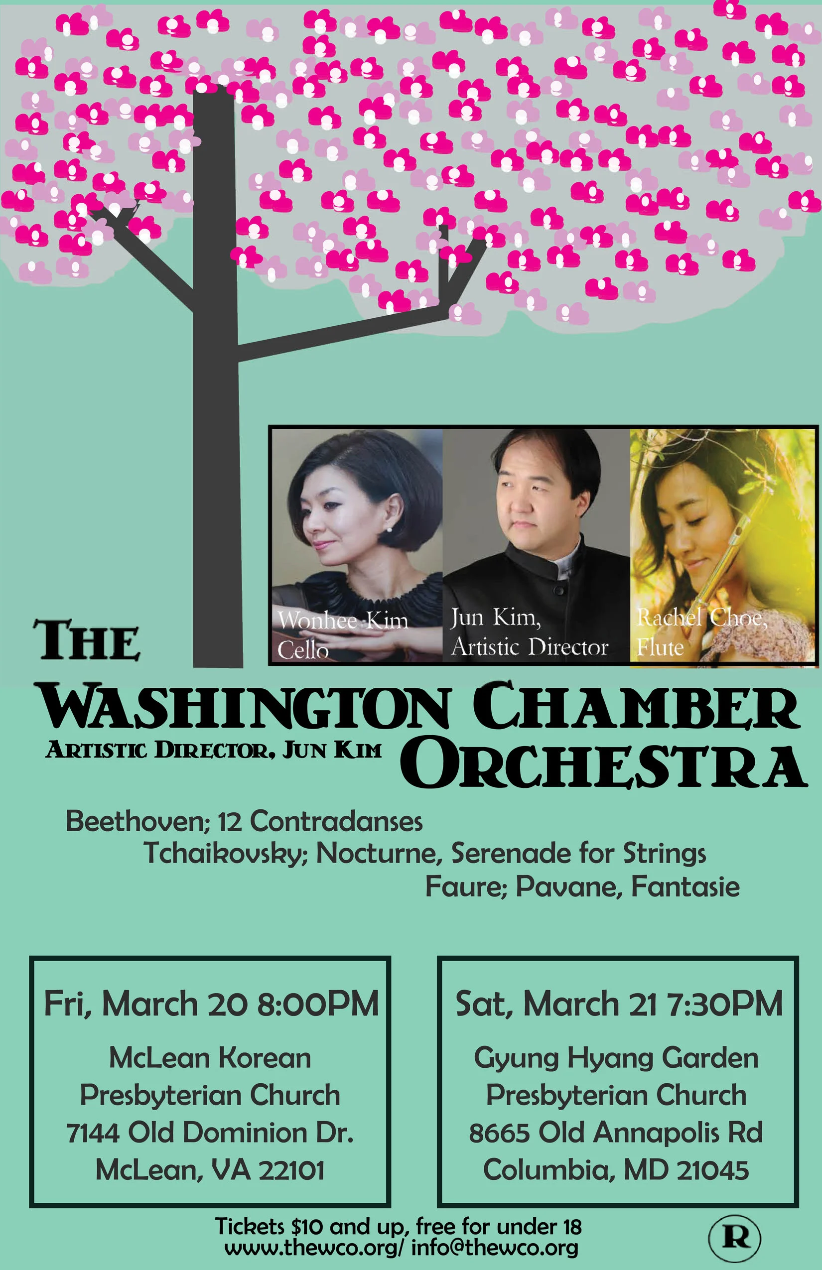 washington chamber orchestra poster 2.jpg