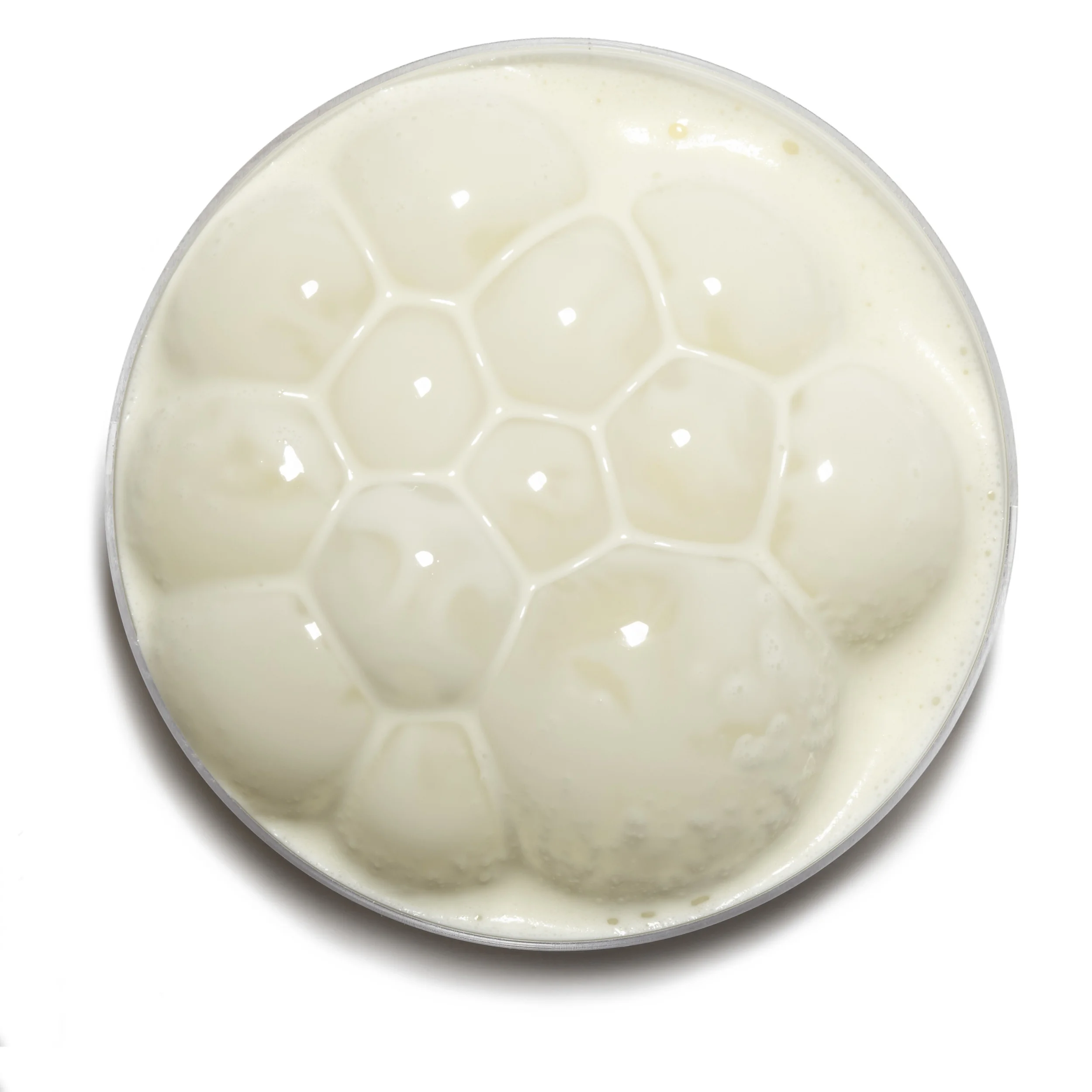 2016_jan_superior_source_0200_heavycream_trans copy.jpg