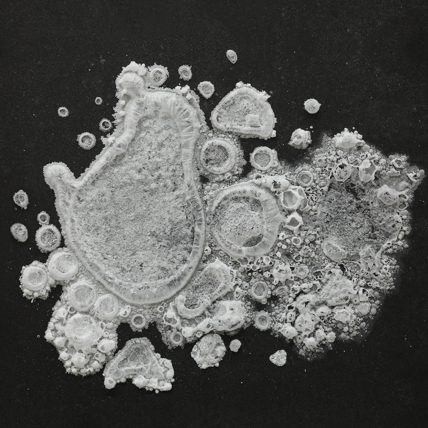 2015_ART_SALT_291088_6x6.jpg