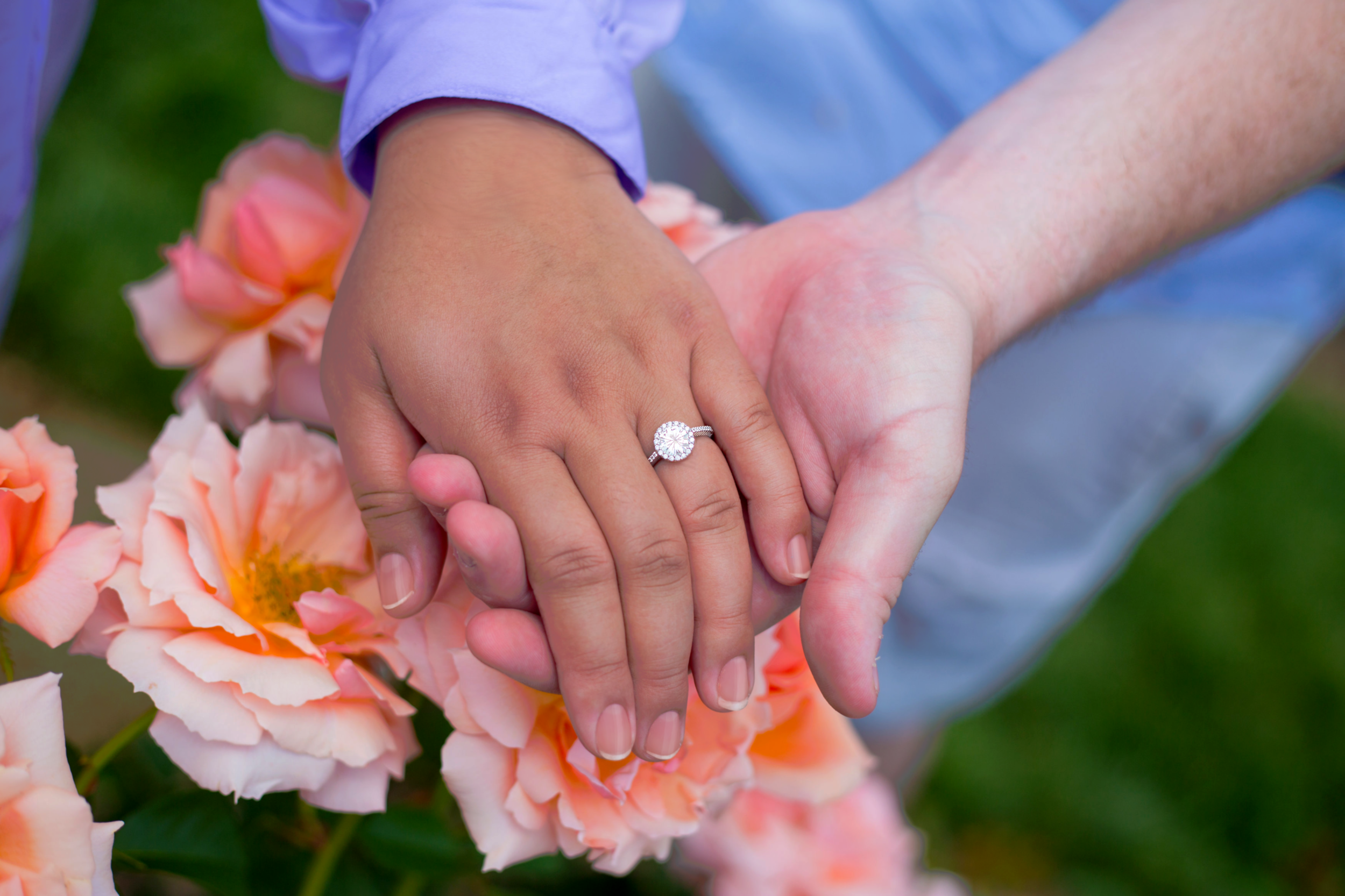 ringpic.png