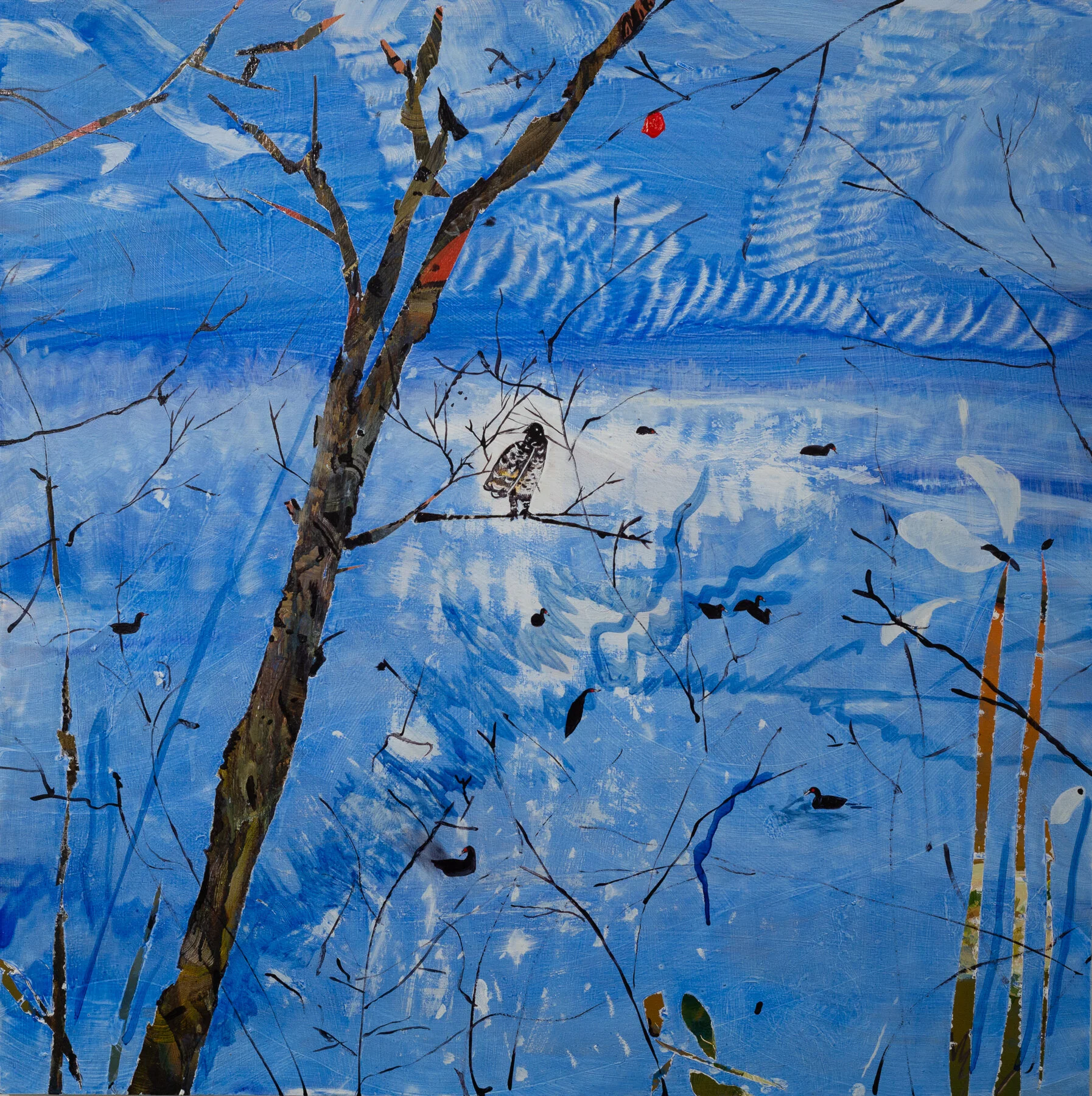 Hawk, acrylic and paper on panel,  36” x 36”, 2020