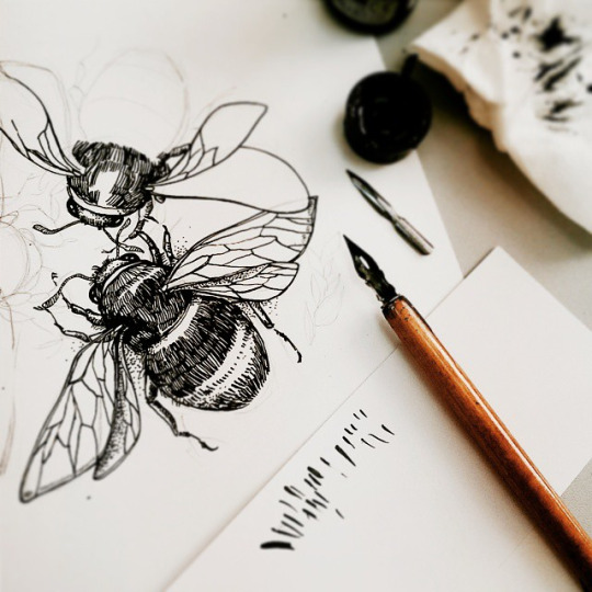 The study of bees
