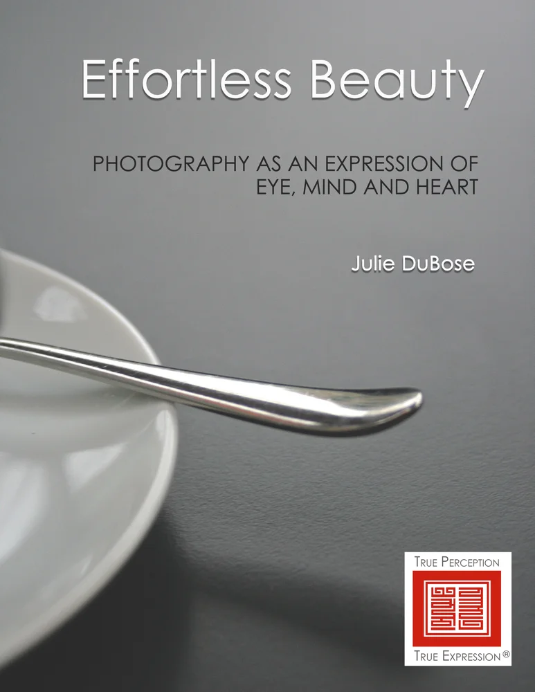 Final Cover with Seal .jpg