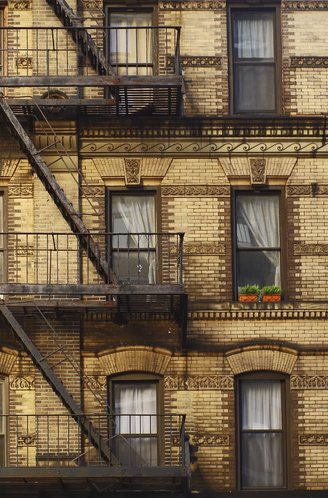 urban garden.jpg