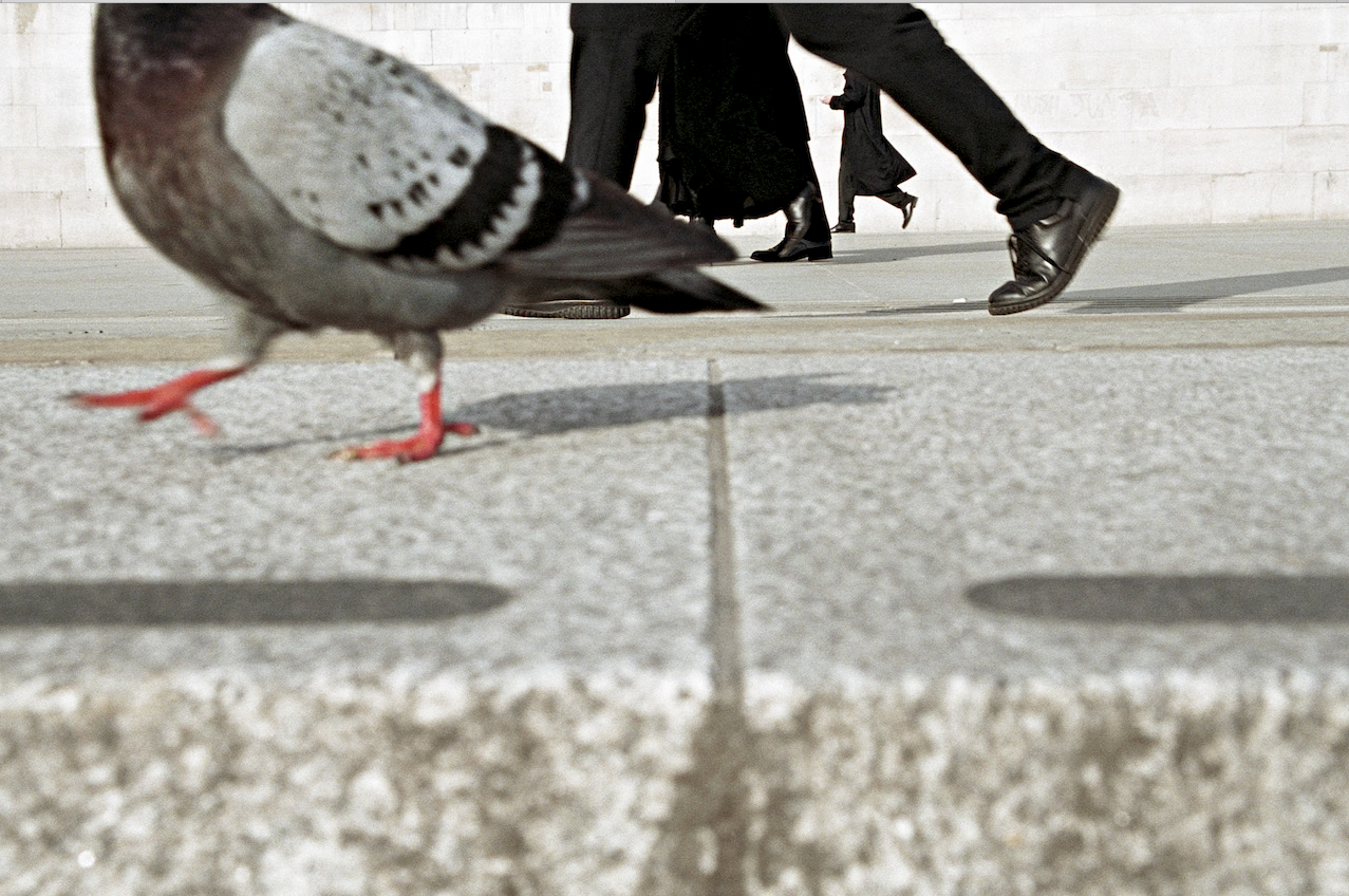 photo: Matt Stuart
