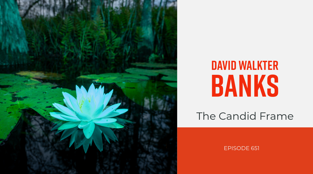 The Candid Frame #651 - David Walter Banks