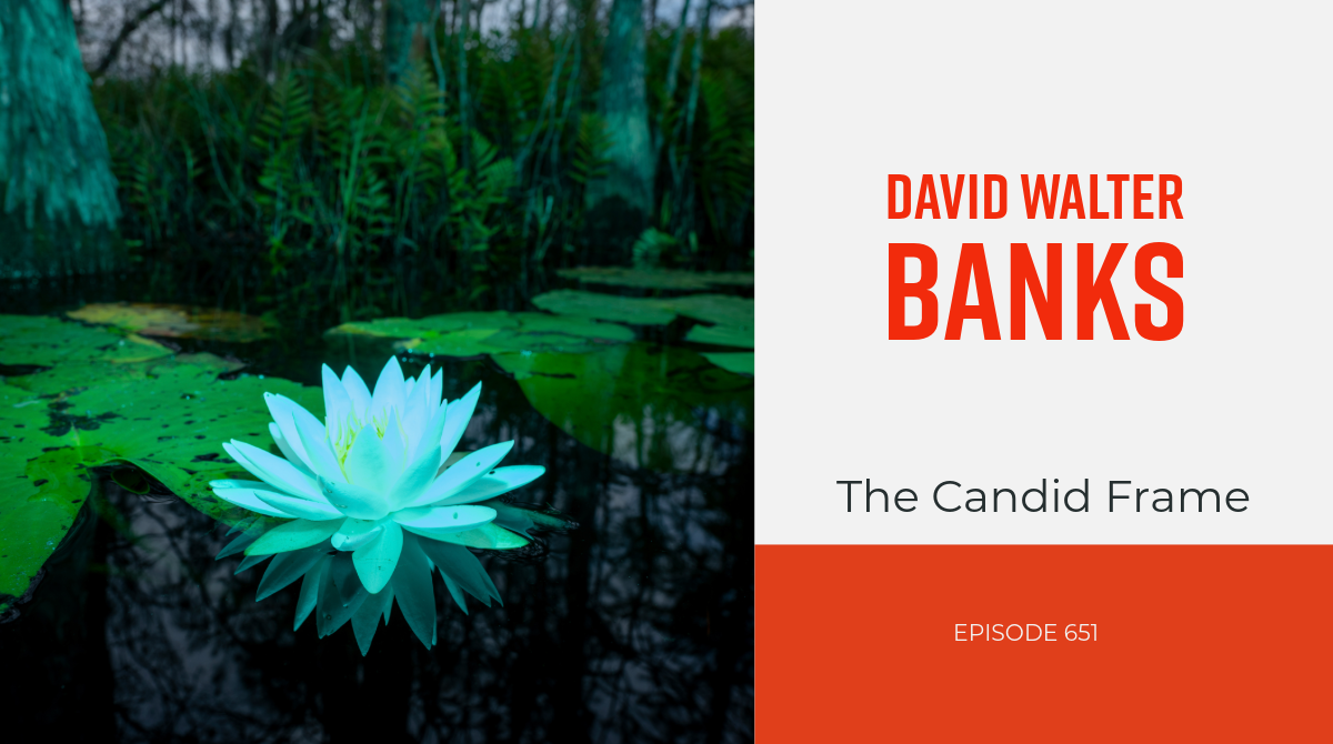 The Candid Frame #651 - David Walter Bank