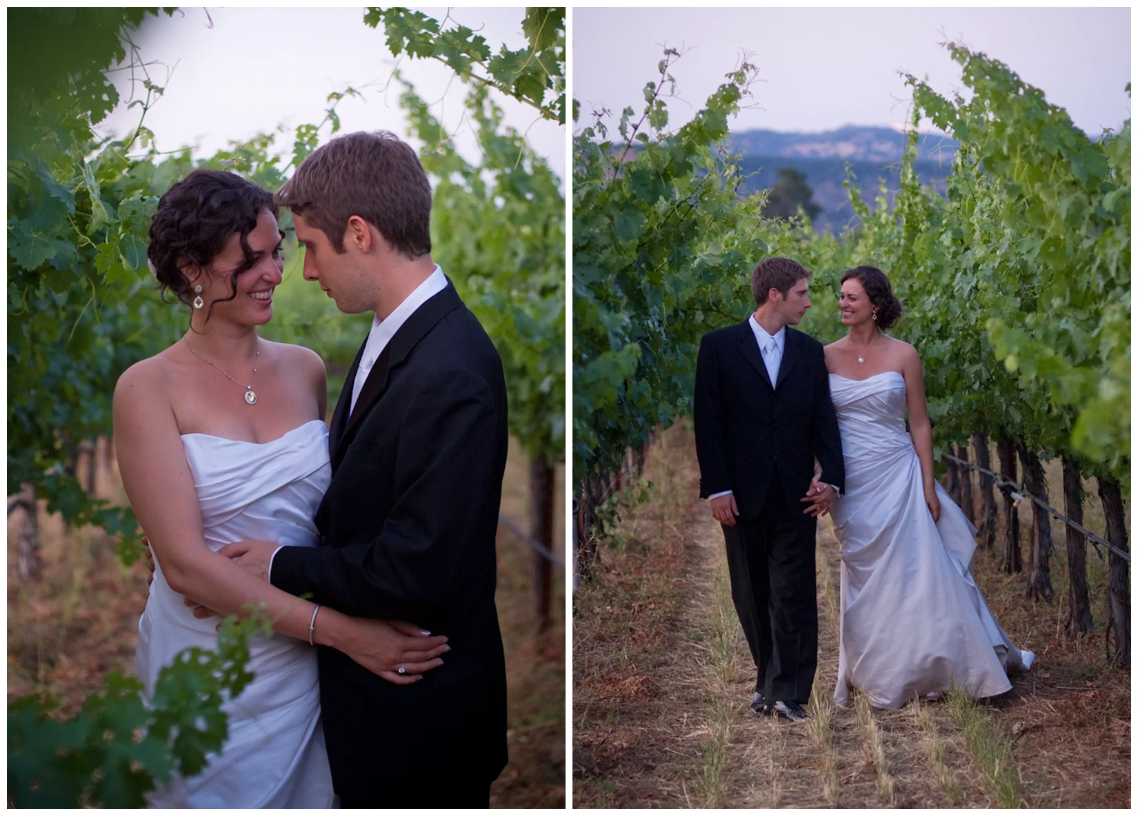 vineyard_02_duo.jpg