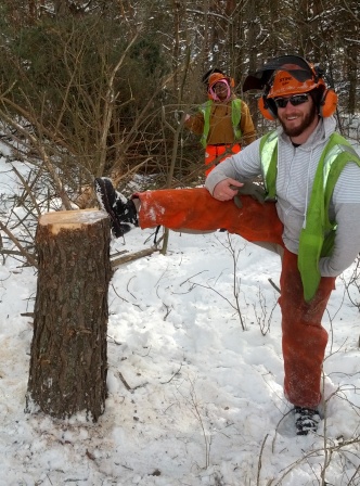 My first (big) felled tree during chainsaw training  .jpg