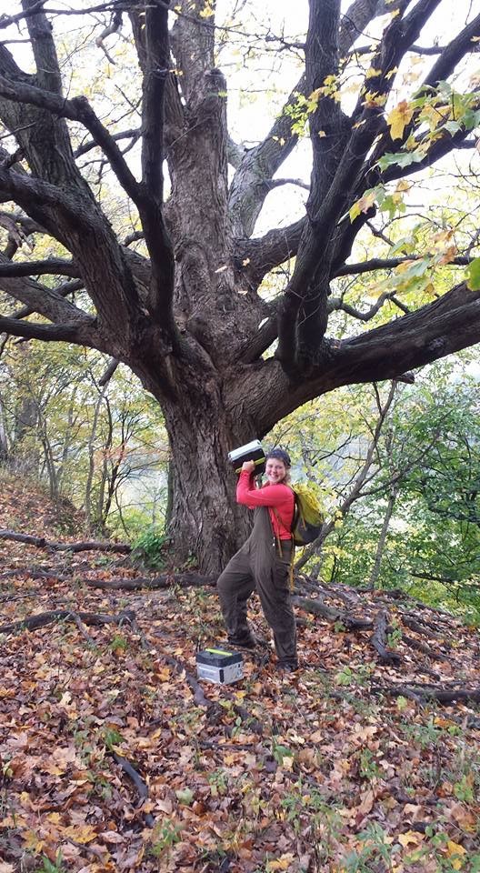 Amy looking fierce and victorious with a y   
 
 
 
   eti battery in front of a grand maple tree.
